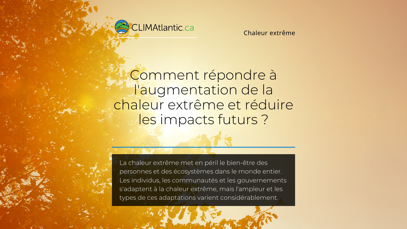 Le texte se lit "Comment répondre à l'augmentation de la chaleur extrême et réduire les impacts futurs ? La chaleur extrême met en péril le bien-être des personnes et des écosystèmes dans le monde entier. Les individus, les communautés et les gouvernements s'adaptent à la chaleur extrême, mais l'ampleur et les types de des adaptations varient considérablement." À l'arrière-plan, on aperçoit un arbre derrière lequel le soleil brille.