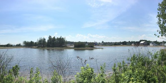 Adaptation et résilience aux changements climatiques – Partie 2 : Bassin de rétention des eaux pluviales naturalisé de la rue Lorne à Sackville (Nouveau Brunswick)