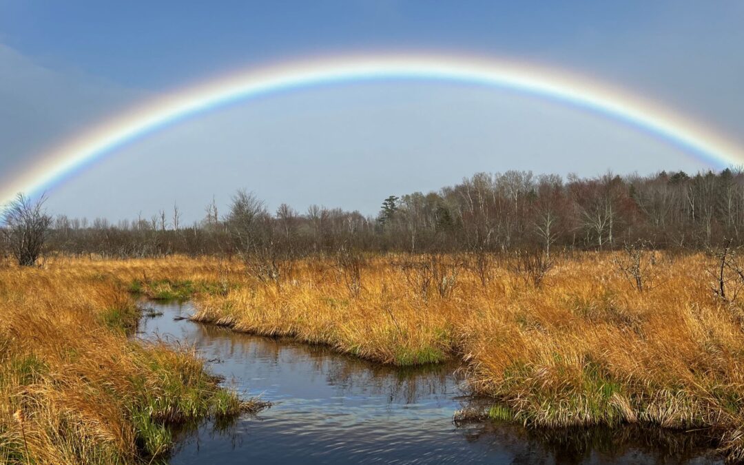 Wetlands and Climate Change in Southwest Nova Scotia